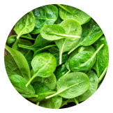 Spinach